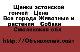 Щенки эстонской гончей › Цена ­ 7 000 - Все города Животные и растения » Собаки   . Смоленская обл.